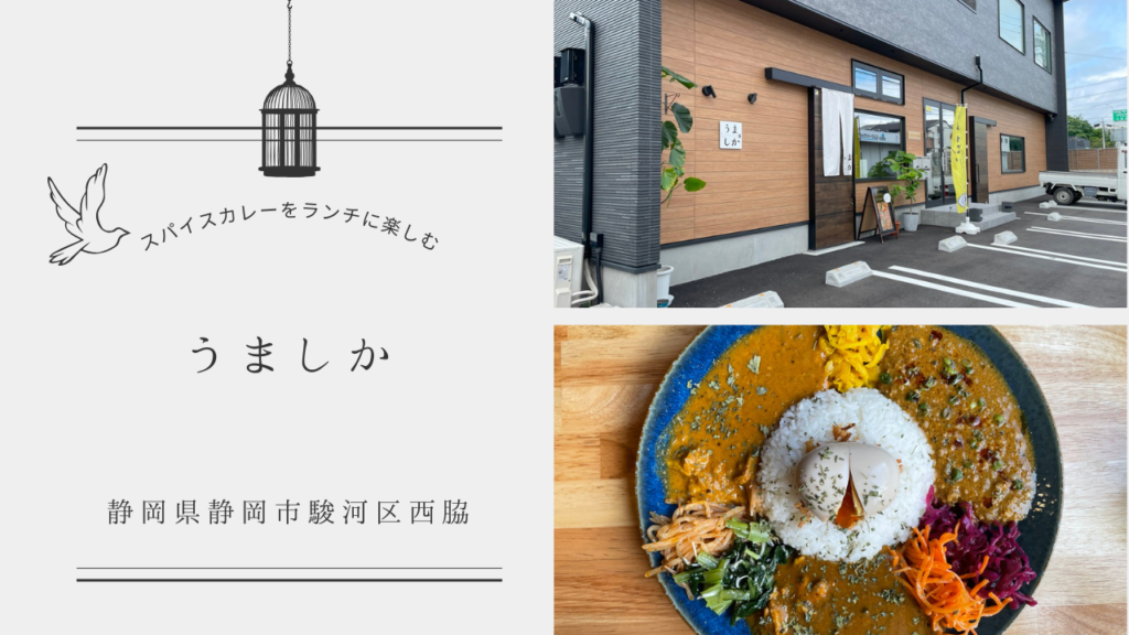 【うましか】静岡市にある夜は居酒屋だけどランチに絶品スパイスカレーが楽しめる!? | くるたび