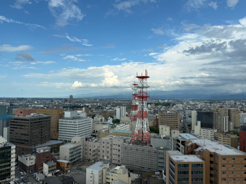 富山市役所展望塔から見た富山市内の眺め